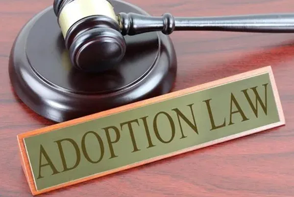 Adoption Lawyer